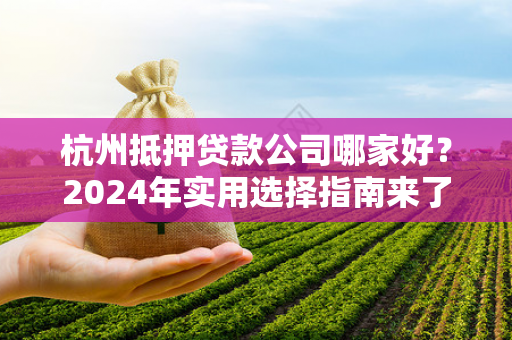 杭州抵押贷款公司哪家好?2024年实用选择指南来了! 杭州抵押贷款公司哪家好?2024年实用选择指南来了!