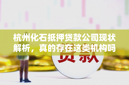 杭州化石抵押贷款公司现状解析,真的存在这类机构吗?