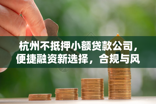 杭州不抵押小额贷款公司,便捷融资新选择,合规与风险需并重