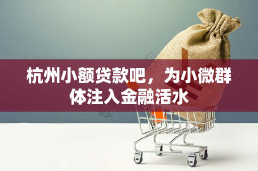 杭州小额贷款吧，为小微群体注入金融活水