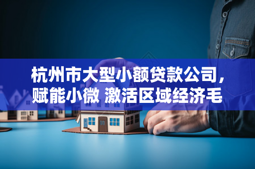杭州市大型小额贷款公司,赋能小微 激活区域经济毛细血管 杭州市大型小额贷款公司,赋能小微 激活区域经济毛细血管