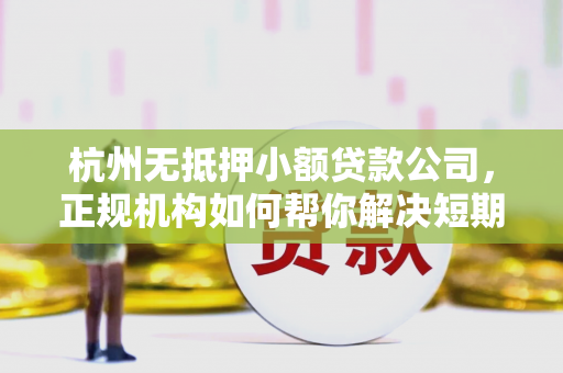 杭州无抵押小额贷款公司,正规机构如何帮你解决短期资金难题? 杭州无抵押小额贷款公司,正规机构如何帮你解决短期资金难题?