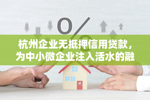 杭州企业无抵押信用贷款,为中小微企业注入活水的融资新选择