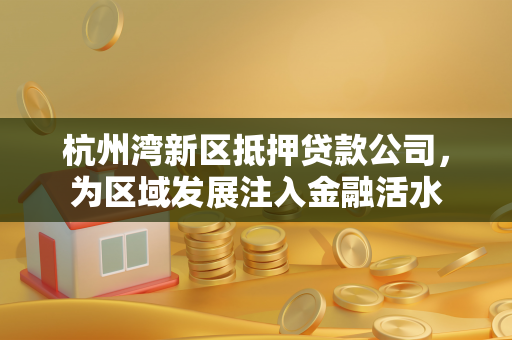 杭州湾新区抵押贷款公司,为区域发展注入金融活水