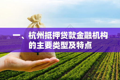 一、杭州抵押贷款金融机构的主要类型及特点