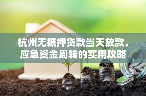 杭州无抵押贷款当天放款,应急资金周转的实用攻略