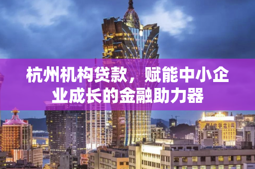 杭州机构贷款,赋能中小企业成长的金融助力器