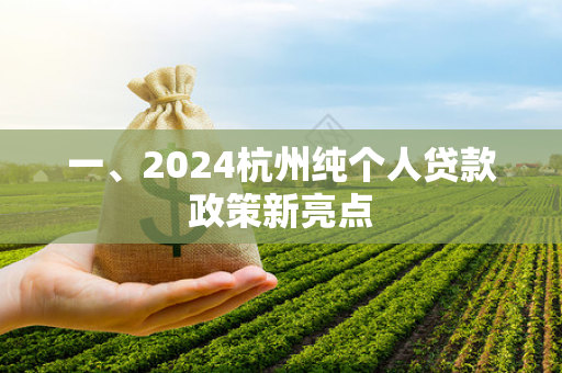 一、2024杭州纯个人贷款政策新亮点 一、2024杭州纯个人贷款政策新亮点
