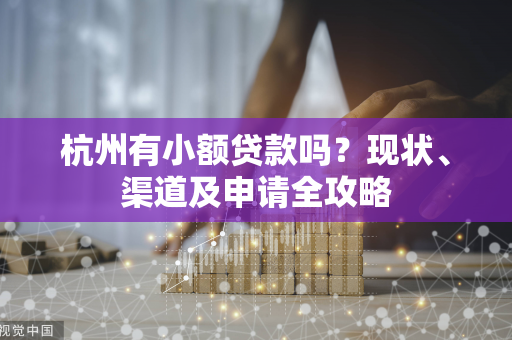 杭州有小额贷款吗?现状、渠道及申请全攻略