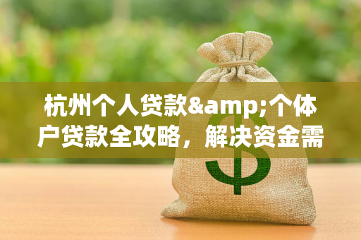杭州个人贷款&个体户贷款全攻略,解决资金需求,赋能小微成长
