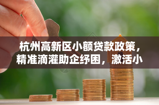 杭州高新区小额贷款政策,精准滴灌助企纾困,激活小微发展新动能
