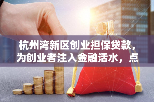 杭州湾新区创业担保贷款,为创业者注入金融活水,点燃梦想引擎