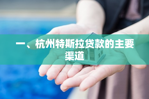 一、杭州特斯拉贷款的主要渠道
