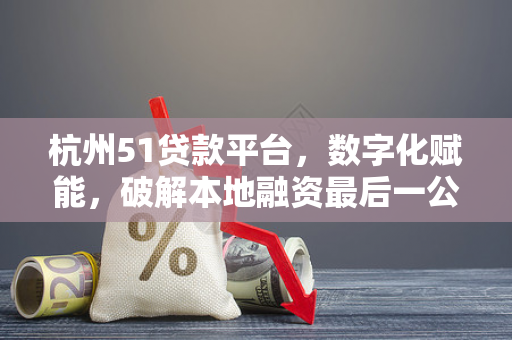 杭州51贷款平台,数字化赋能,破解本地融资最后一公里