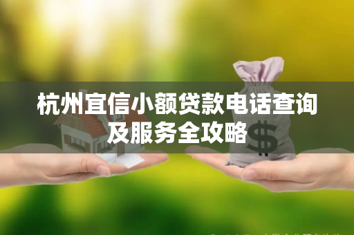 杭州宜信小额贷款电话查询及服务全攻略