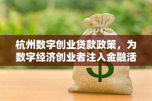 杭州数字创业贷款政策,为数字经济创业者注入金融活水