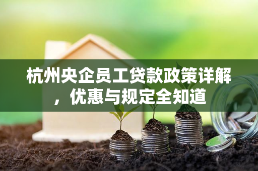 杭州央企员工贷款政策详解,优惠与规定全知道
