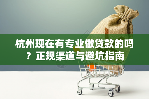 杭州现在有专业做贷款的吗?正规渠道与避坑指南