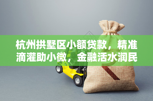 杭州拱墅区小额贷款,精准滴灌助小微,金融活水润民生