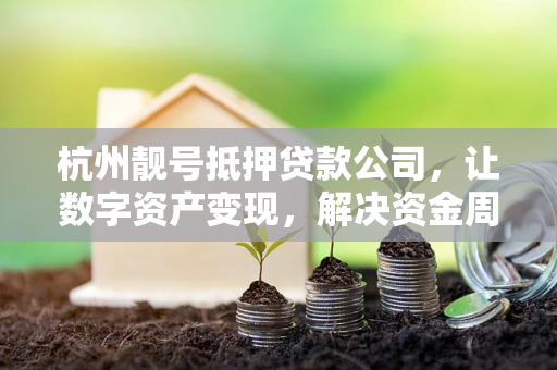 杭州靓号抵押贷款公司,让数字资产变现,解决资金周转新路径