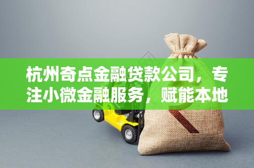 杭州奇点金融贷款公司,专注小微金融服务,赋能本地经济成长