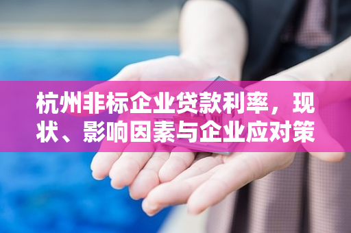 杭州非标企业贷款利率,现状、影响因素与企业应对策略