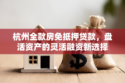 杭州全款房免抵押贷款，盘活资产的灵活融资新选择