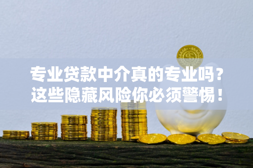 专业贷款中介真的专业吗?这些隐藏风险你必须警惕!