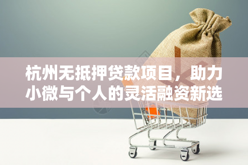 杭州无抵押贷款项目,助力小微与个人的灵活融资新选择