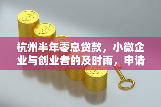 杭州半年零息贷款,小微企业与创业者的及时雨,申请指南请收好
