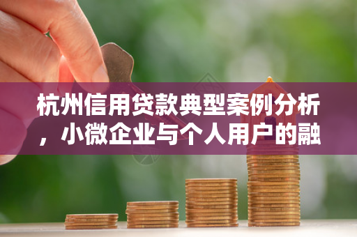 杭州信用贷款典型案例分析,小微企业与个人用户的融资新路径
