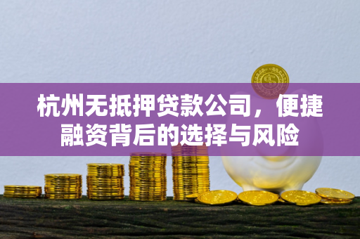 杭州无抵押贷款公司,便捷融资背后的选择与风险