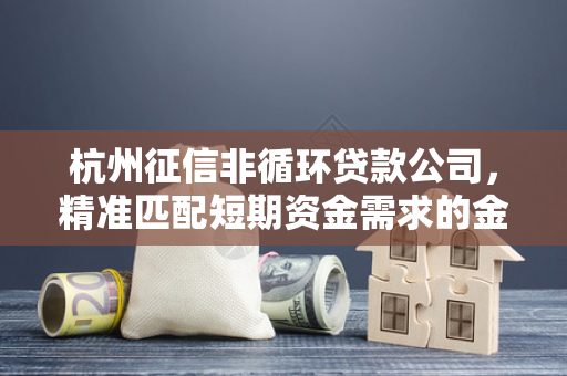 杭州征信非循环贷款公司,精准匹配短期资金需求的金融助力