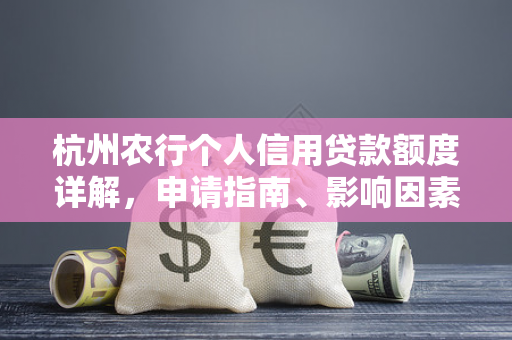 杭州农行个人信用贷款额度详解，申请指南、影响因素与提升技巧