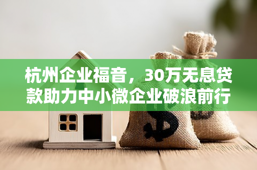 杭州企业福音,30万无息贷款助力中小微企业破浪前行 杭州企业福音,30万无息贷款助力中小微企业破浪前行