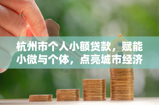 杭州市个人小额贷款,赋能小微与个体,点亮城市经济微活力