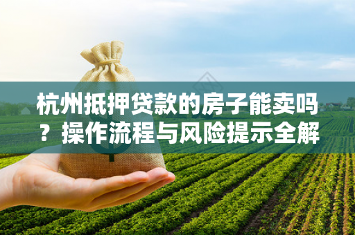 杭州抵押贷款的房子能卖吗？操作流程与风险提示全解析