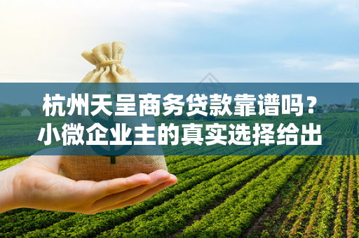 杭州天呈商务贷款靠谱吗?小微企业主的真实选择给出答案