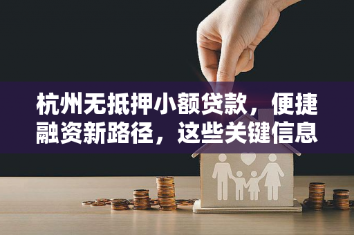杭州无抵押小额贷款,便捷融资新路径,这些关键信息请收好