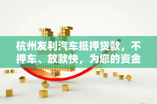 杭州友利汽车抵押贷款,不押车、放款快,为您的资金需求雪中送炭