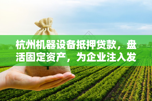 杭州机器设备抵押贷款,盘活固定资产,为企业注入发展新动能 杭州机器设备抵押贷款,盘活固定资产,为企业注入发展新动能