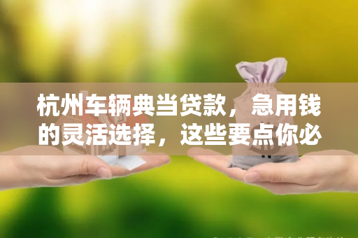 杭州车辆典当贷款,急用钱的灵活选择,这些要点你必须知道! 杭州车辆典当贷款,急用钱的灵活选择,这些要点你必须知道!