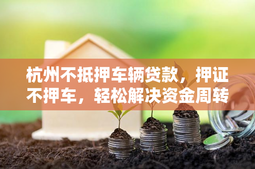 杭州不抵押车辆贷款,押证不押车,轻松解决资金周转难题