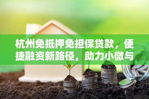 杭州免抵押免担保贷款，便捷融资新路径，助力小微与个人成长