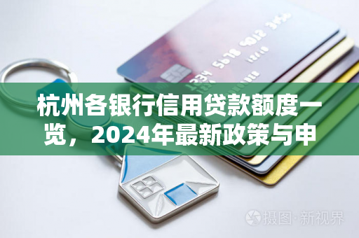 杭州各银行信用贷款额度一览,2024年最新政策与申请指南