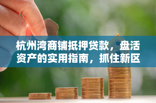 杭州湾商铺抵押贷款,盘活资产的实用指南,抓住新区发展机遇