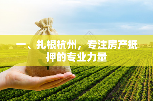 一、扎根杭州,专注房产抵押的专业力量