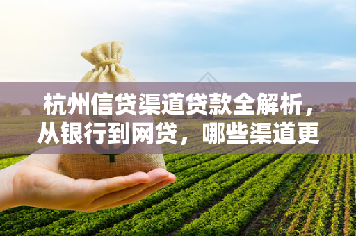 杭州信贷渠道贷款全解析,从银行到网贷,哪些渠道更适合你?