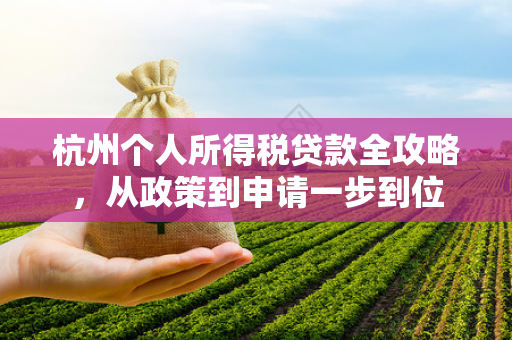 杭州个人所得税贷款全攻略,从政策到申请一步到位