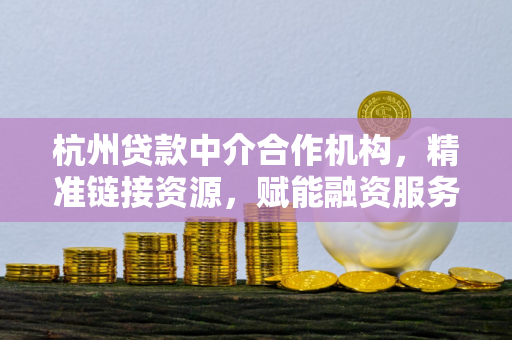 杭州贷款中介合作机构,精准链接资源,赋能融资服务新生态